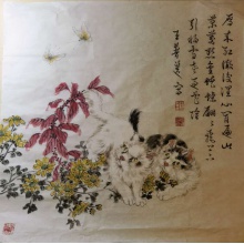 王普选先生之猫图